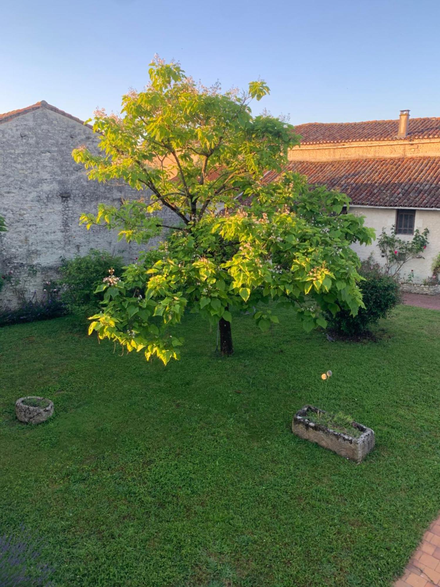 The Cool Lounge A Coulonges - Charente Panzió Kültér fotó