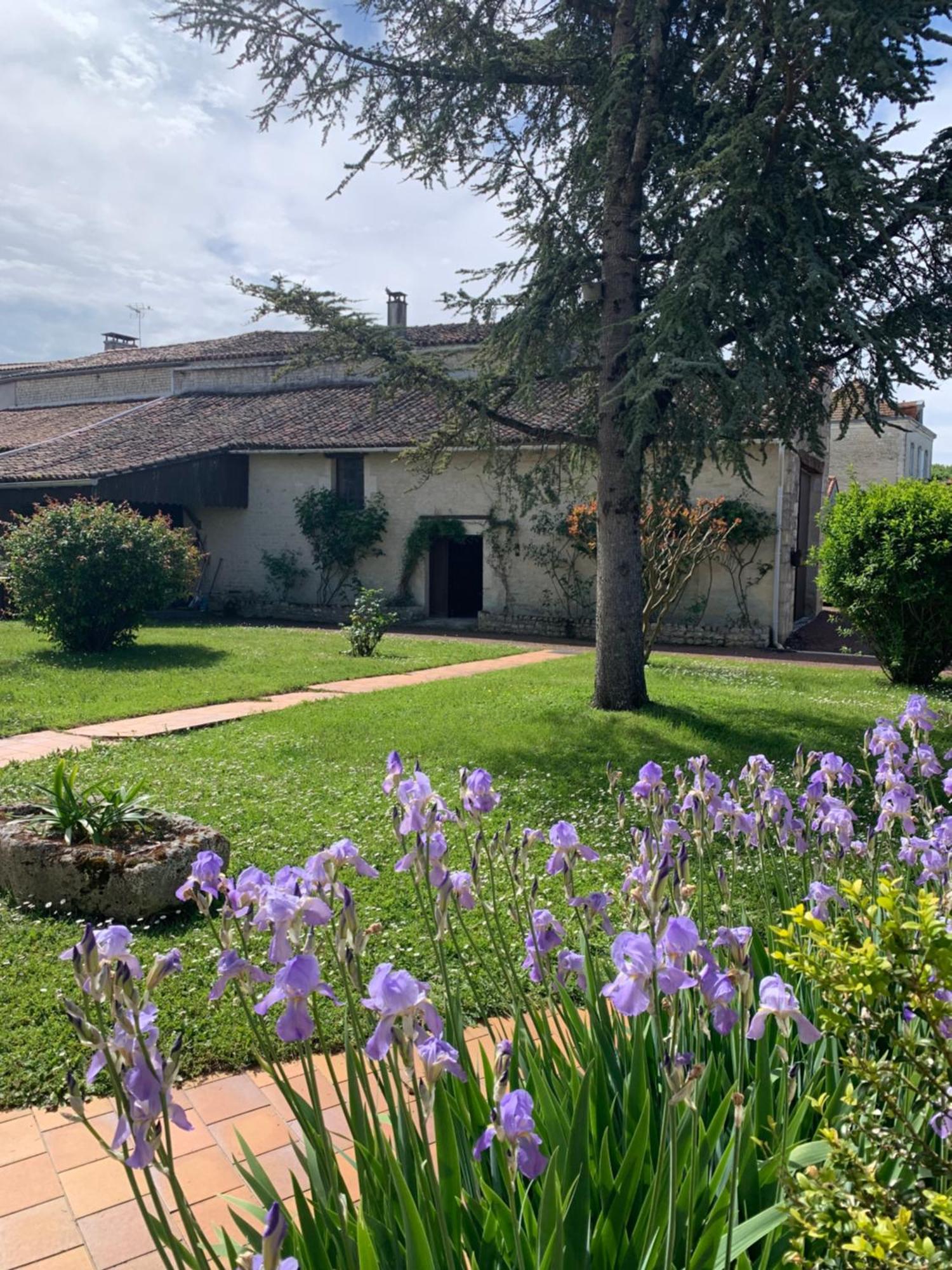 The Cool Lounge A Coulonges - Charente Panzió Kültér fotó
